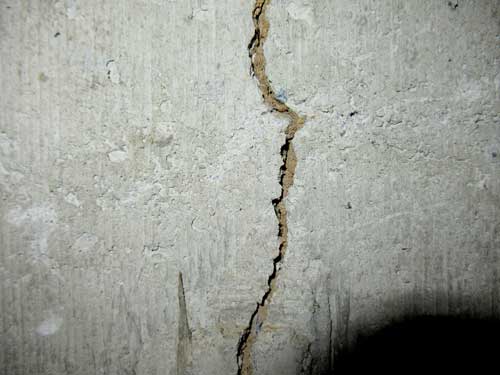Termite mud tube within a concrete foundation crack.